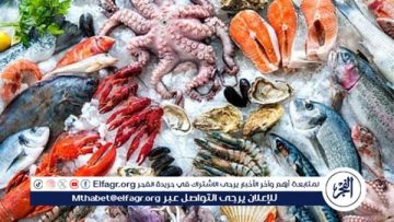 أسعار المأكولات البحرية والجمبري اليوم الاحد 26-10-2025 في محافظة قنا