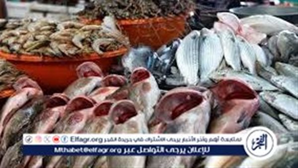 أسعار السمك البلطي والبوري اليوم الاحد 26-10-2025 في محافظة قنا