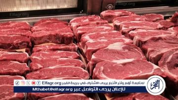 أسعار اللحوم اليوم الثلاثاء 28 أكتوبر 2025 في أسواق الأقصر