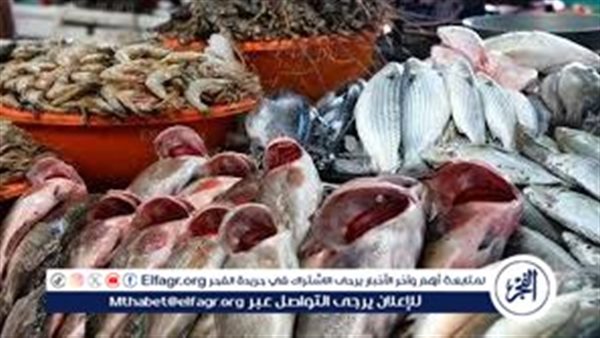 أسعار السمك البلطي والبوري اليوم الجمعة 24-10-2025 في محافظة قنا