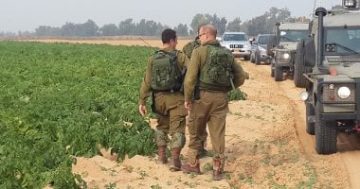مسئول إسرائيلى: ننسق مع مصر لفتح معبر رفح من الجانب الفلسطينى