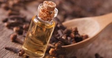 زيت القرنفل.. يعالج 4 مشكلات مرضية أبرزها تدعيم صحة القلب