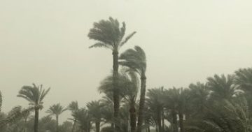 الأرصاد تكشف حقيقة واحتمالية تأثر البلاد بمنخفض قوي متعمق الأيام المقبلة