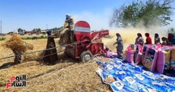 وزير الزراعة: 2350 جنيهًا سعر أردب القمح الموسم الجديد 2026