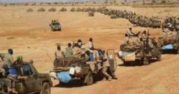 ورقة أمريكية لتحقيق هدنة إنسانية فى السودان لثلاثة أشهر قادمة