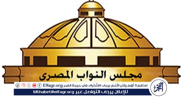 انتخابات مجلس النواب 2025| محظورات الدعاية الانتخابية للمرشحين
