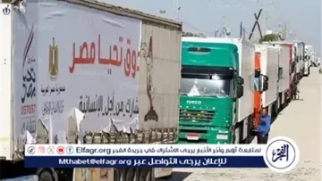 400 شاحنة مساعدات عبرت إلى غزة ضمن مبادرة “زاد العزة”