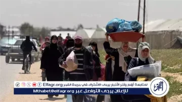 مصر طريق العودة”.. فيلم تسجيلي يسلط الضوء على معاناة الفلسطنيين ضمن فعاليات احتفالية “وطن السلام