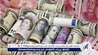 أسعار العملات الأجنبية والعربية أمام الجنيه المصري في تعاملات الأحد 26 أكتوبر 2025