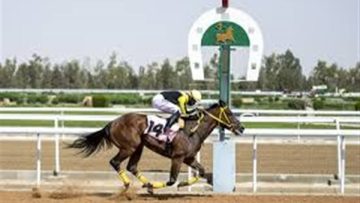 الجواد “حفر الباطن” يحقق كأس محافظة شرورة في الحفل الخامس لسباقات الخيل بنجران