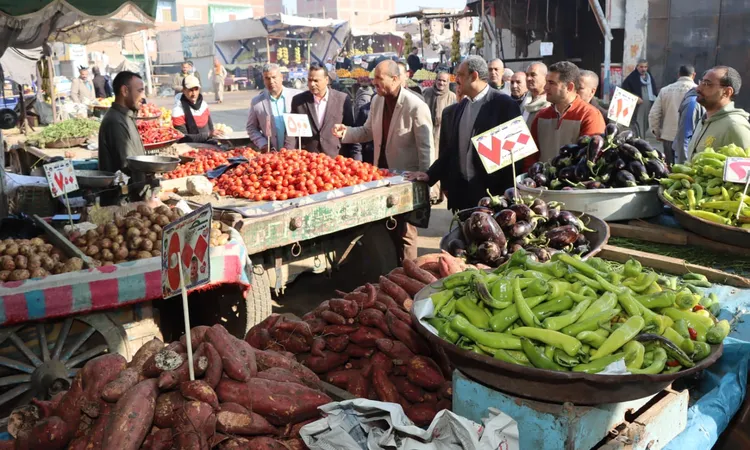 بعد زيادة البنزين والسولار.. شعبة المواد الغذائية: لا زيادات بالأسعار.. والأسواق تحت السيطرة