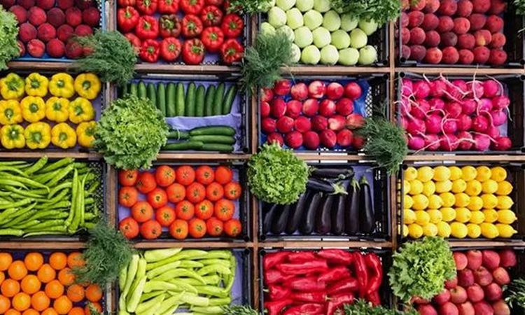 بعد رفع السولار والبنزين.. استقرار فى أسعار الخضروات بأسواق الأقصر
