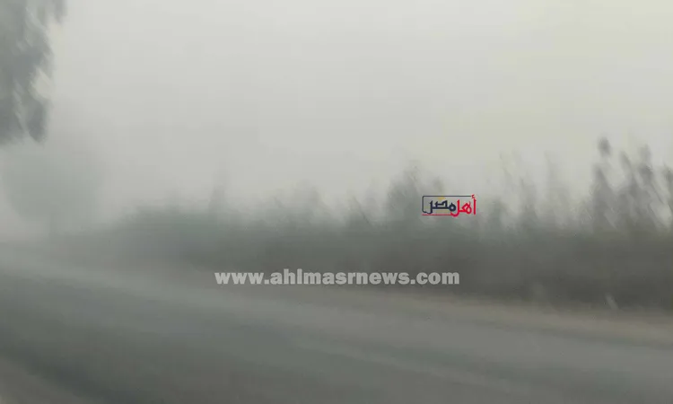 غلق طريقي مصر ـ الإسكندرية الصحراوي ومحور أبو ذكري صباح اليوم بسبب الشبورة المائية