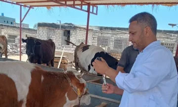 انطلاق الحملة القومية الثالثة للتحصين ضد الحمى القلاعية وحمى الوادي المتصدع في سوهاج